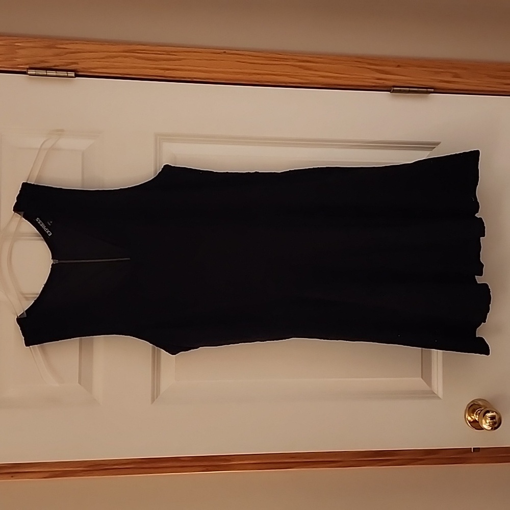 EXPRESS Black Lace Floral Dress